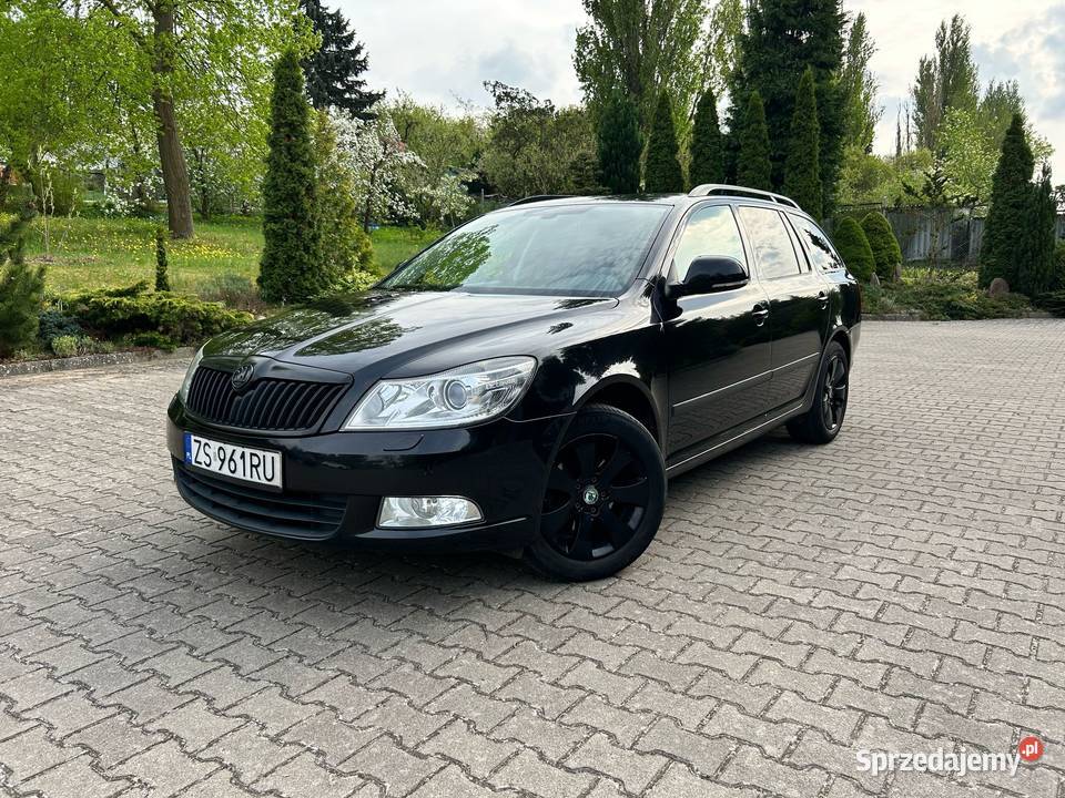 Skoda Octavia Doinwestowana Automat DSG Osoby 105KM Octavia Szczecin