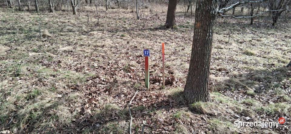 Działka morzem Charnowo Ustka Słupsk budowlana