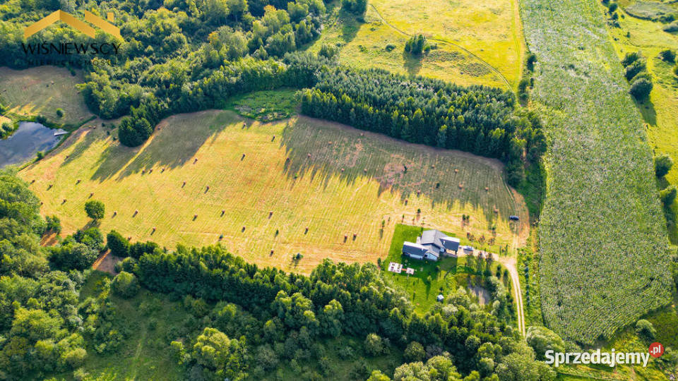 Działka 1291 m z WZ wśród natury Rogowo Sprzedaż