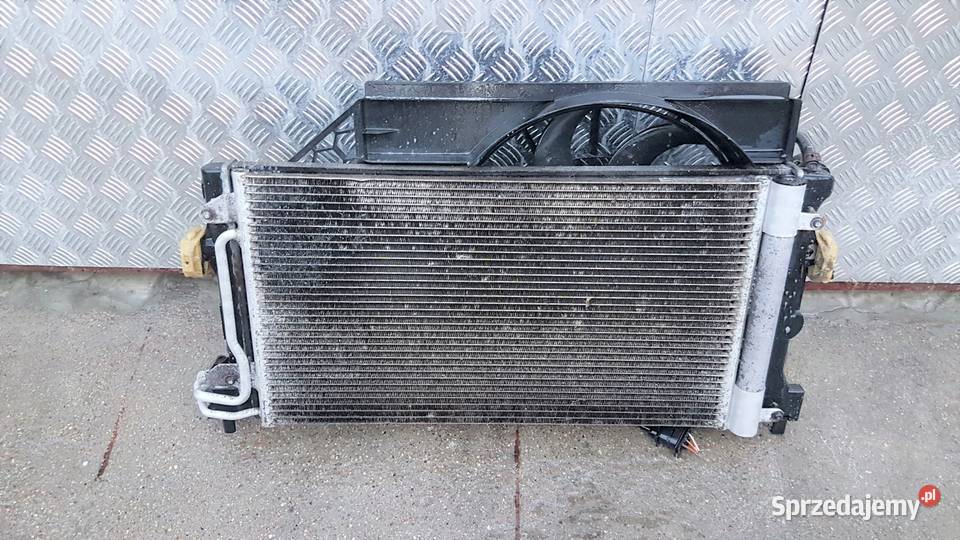 CHŁODNICE IBIZA FABIA ROOMSTER 08 12 14 Międzychód sprzedam