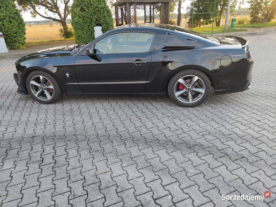 Sprzedam FORDA MUSTANGA Mustang Leszno sprzedam