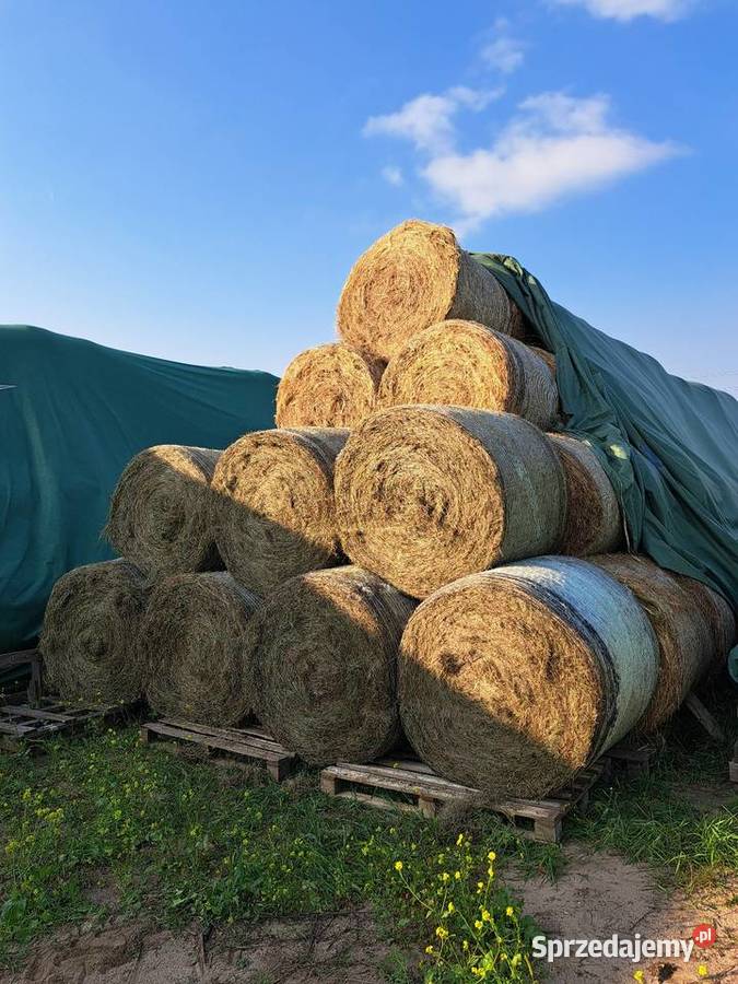 Siano koni 1 pokos z transportem baloty siana Dla koni śląskie Katowice