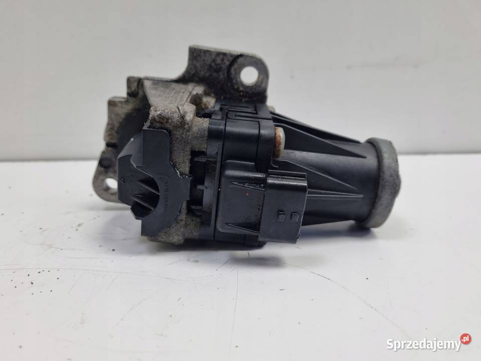 Renault Kangoo III 15 DCI ZAWÓR EGR spalin Rudka