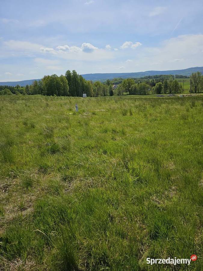 Sprzedam działkę budowlaną dolnośląskie