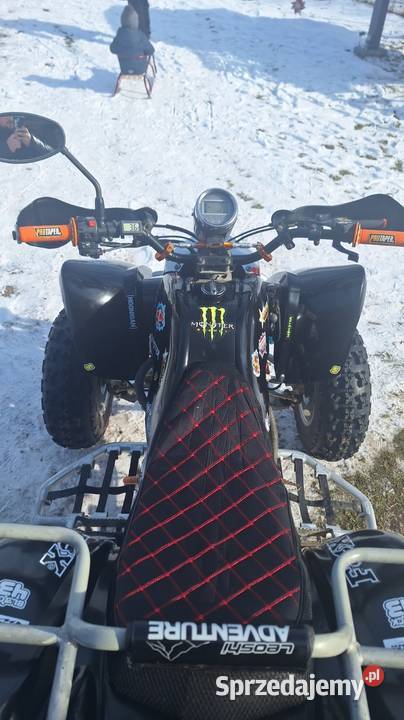 Quad 250 eagle bashan shineray manualna Rybitwy