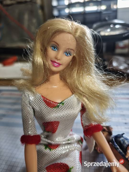 Lalki Barbie Ken rodzina Mattel Krzeszowice sprzedam
