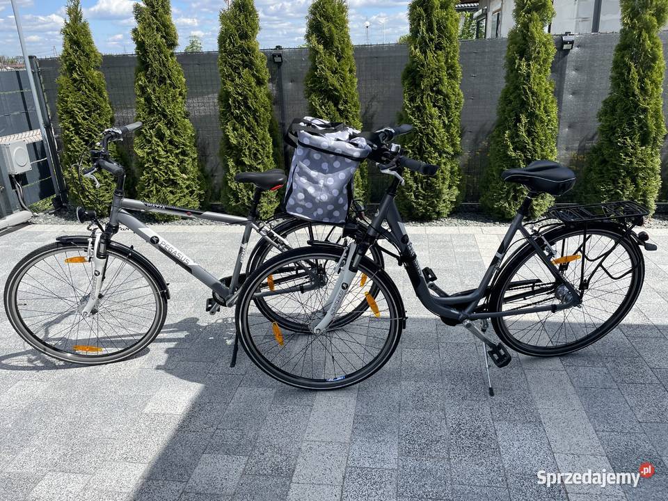 Pegasus Piazza Rower Męski 28 Damski Inowrocław sprzedam