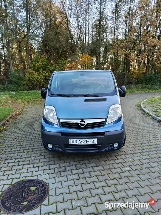 Opel Vivaro 25 CDTI 2009 Końskie