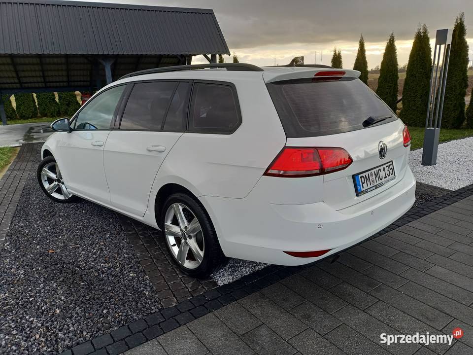 volkswagen golf 7 16 TDI Stegna