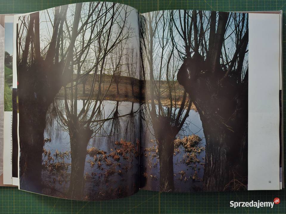 Zamki i zamczyska Adam Bujak Kraków