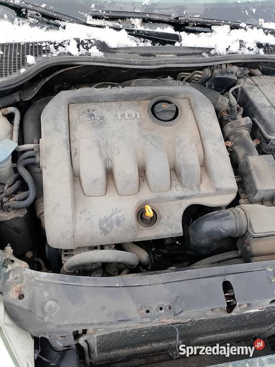 Skoda Octavia 19 TDI 105 Wszystkie części tanio osobowe Klapy bagażnika Grudziądz