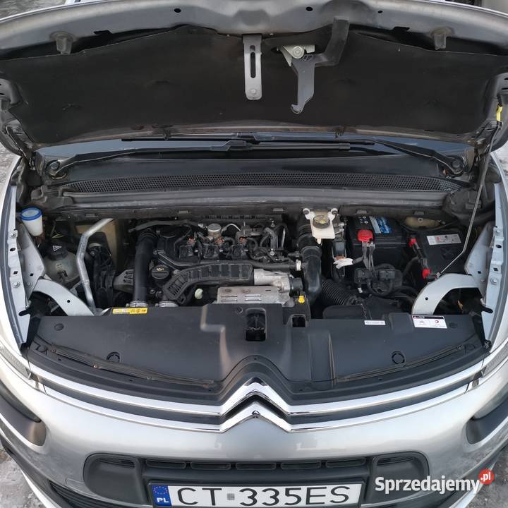 Citron c4 spacetourer 12 benzyna 2020 7osobowy nieuszkodzony Toruń