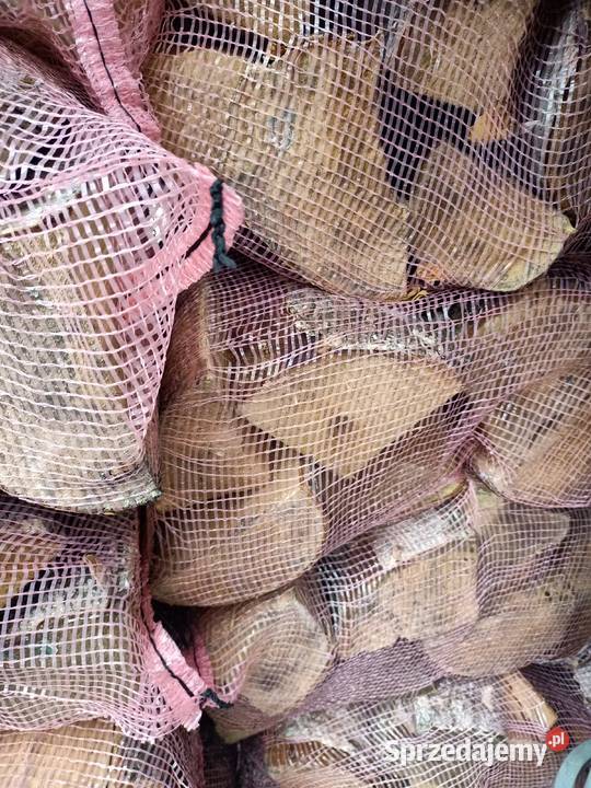 Drewno workowane do kominkana ognisko BRZOZA Jastrzębie-Zdrój