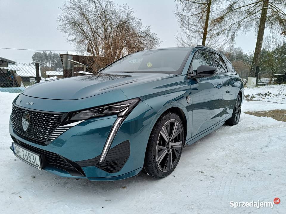 15 Salon 1 Właściciel Najbogatsza wyp Niski 308 Gołaczewy