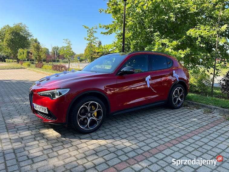 Alfa Romeo Stelvio do ślubu i na inne okazje mazowieckie Warszawa