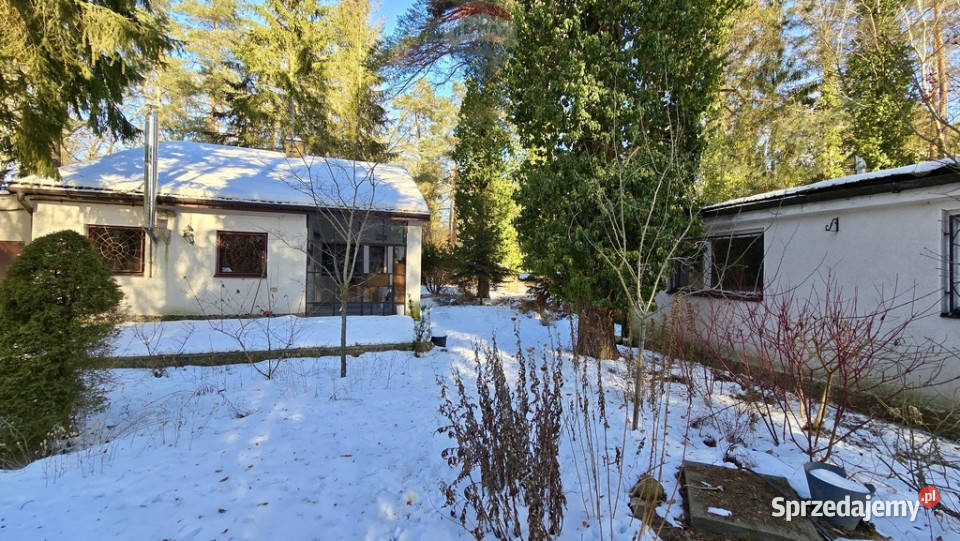 Działka zabudowana Zalesie Górne Kwiat Paproci