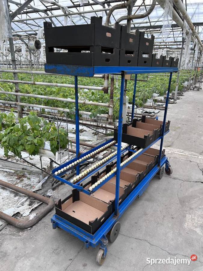 Wózek rolkowy szklarniowy do zbioru warzyw Śmigiel