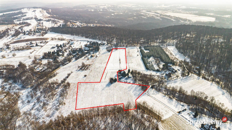 Grunt 22110m2 Płaza Podlas 307.5m