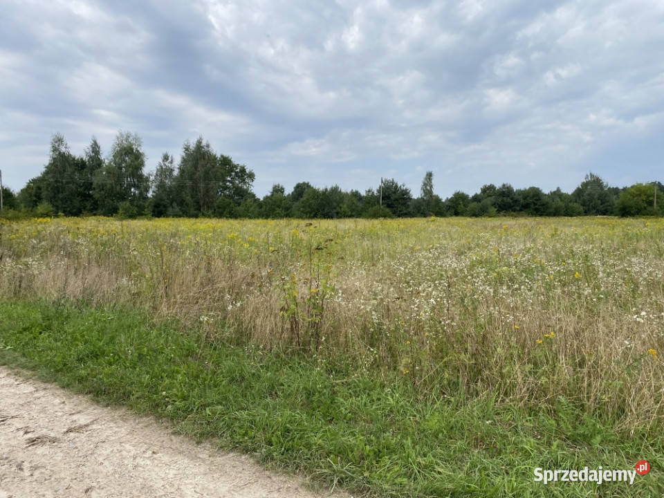Działka inwestycyjna pod usługi 18 centrum 14854m2 lubelskie Kazimierz Dolny