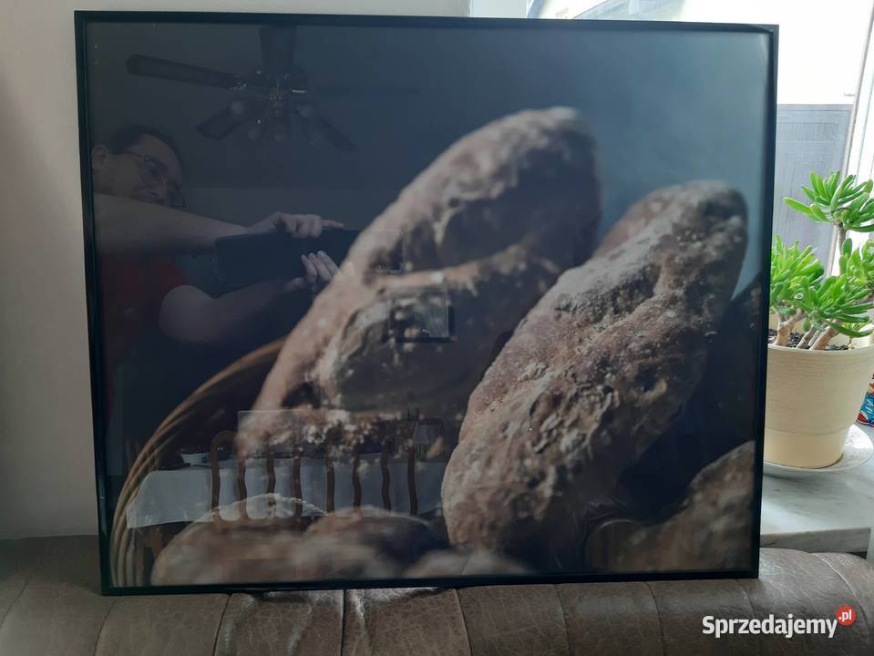 Wystrój sklepu piekarniczego obrazy Łódź sprzedam