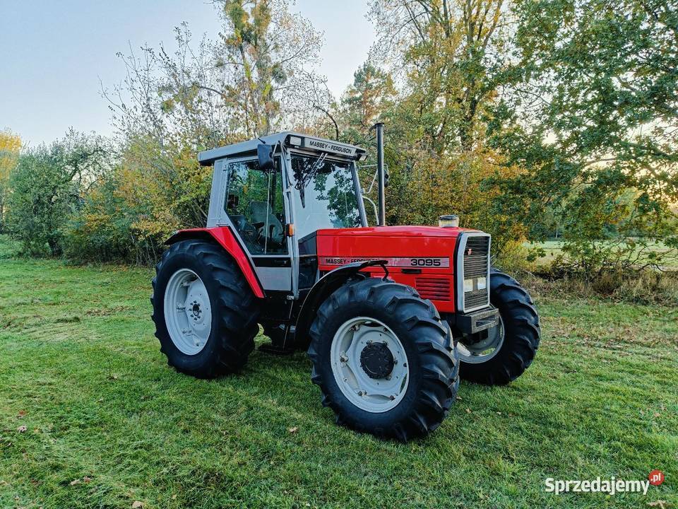 Massey Ferguson 3095 stan idealny klima Półbiegi pod obciążeniem Ostrówki