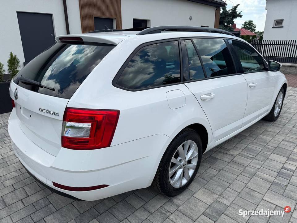 Dsg Tanio Turek