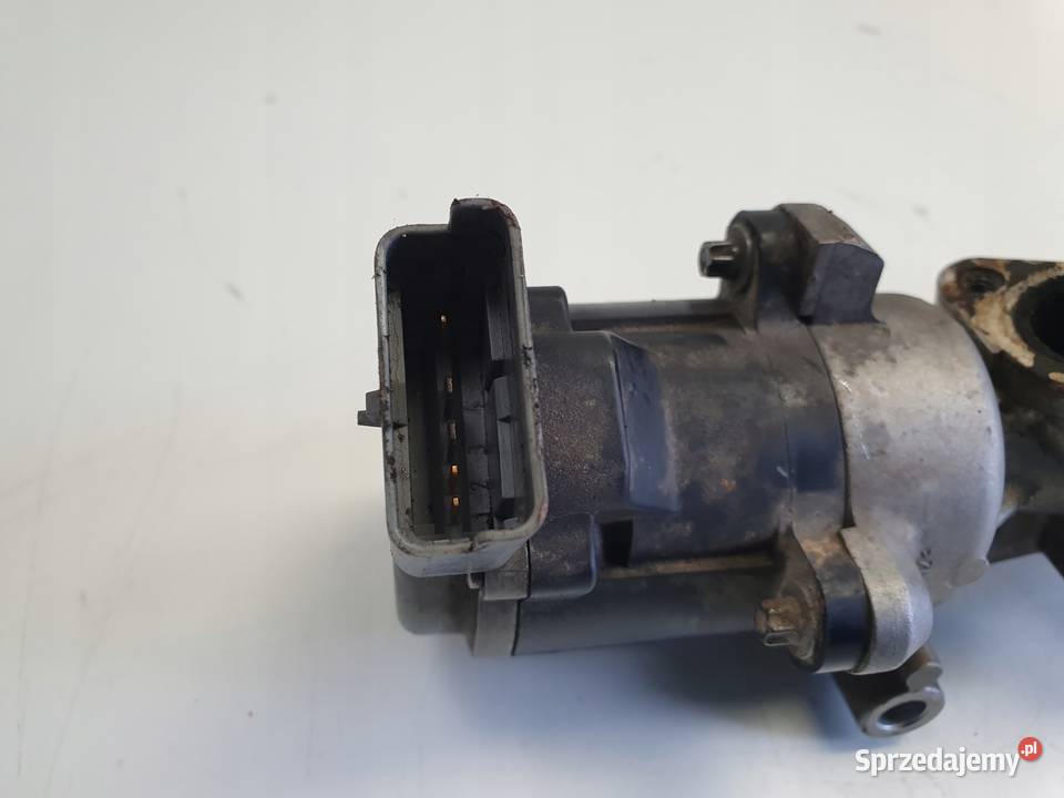 Peugeot 607 27 HDI ZAWÓR ERG chłodnica spalin osobowe Rudka