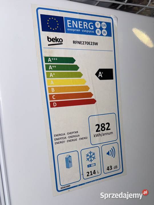 Zamrażarka Beko RFNE270E23W Kaczory