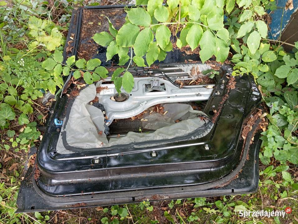 Drzwi Hyundai Trajet czarne 2005 Radziejów sprzedam