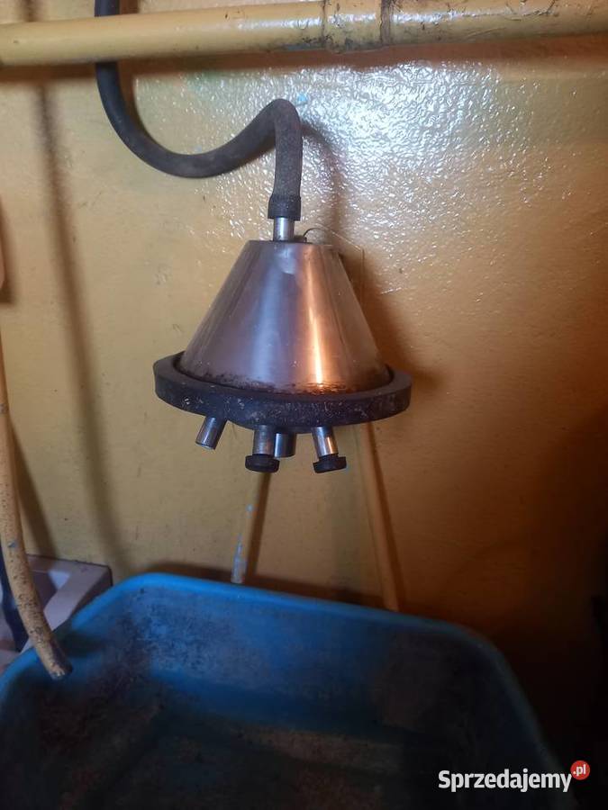 Dojarka dwukonwiowa Dębsko sprzedam