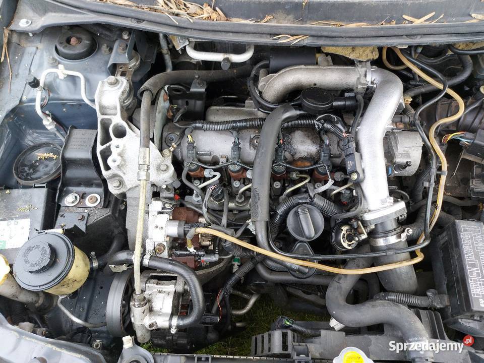 Primerra P12 2006r 19DCI KY5 G drzwi maska Hańsk Pierwszy