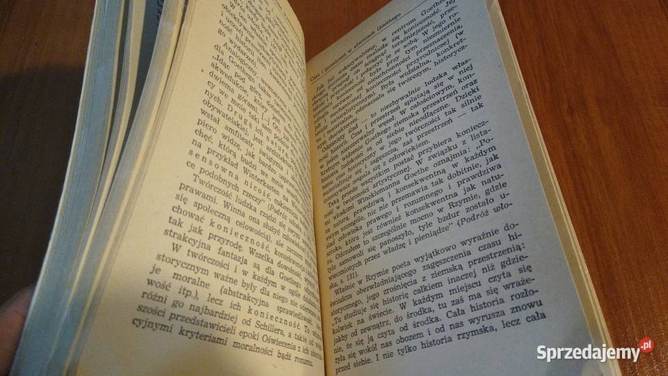 Estetyka twórczości słownej Michał Bachtin miękka z obwolutą