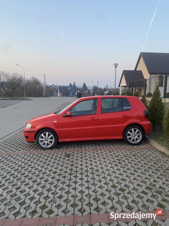 Volkswagen Polo Polo Łubno