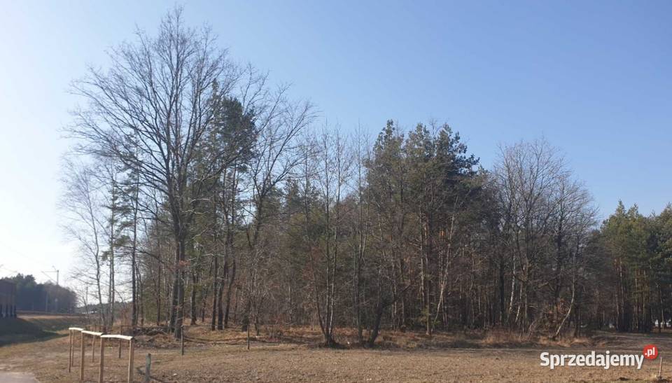 Dzialka lesna mozliwosc budowy domku 112m