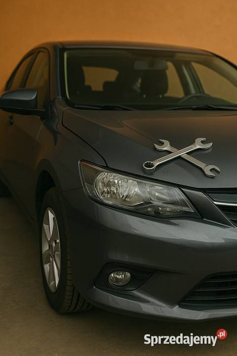 Mechanik samochodowy naprawa aut osobowych Strzegowo