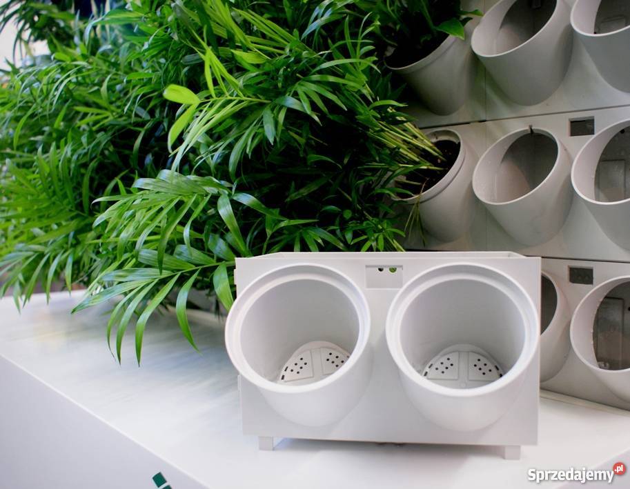 Projektowanie ogrodów ogrody wertykalne Jaworzno