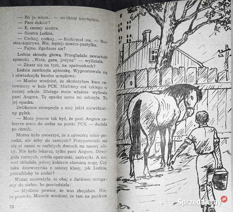 Przylecą ptaki na wiosnę Władysław Kozłowski Chełm sprzedam