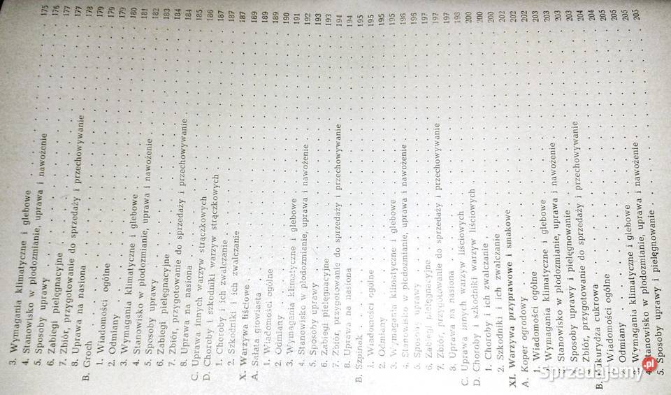 Warzywnictwo HLityński H Nieć Chełm