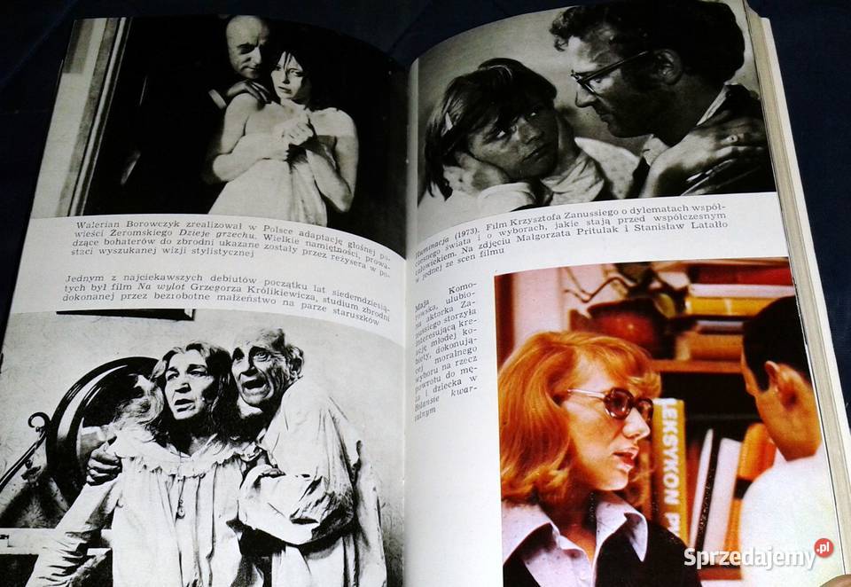 Film i telewizja w Polsce Jacek Fuksiewicz Rok wydania 1981 Chełm sprzedam