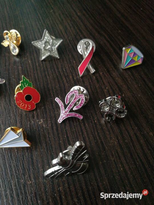Piny wpinki motylek Choszczno