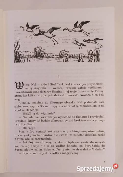 W pustyni i w puszczy Henryk Sienkiewicz miękka Hajnówka