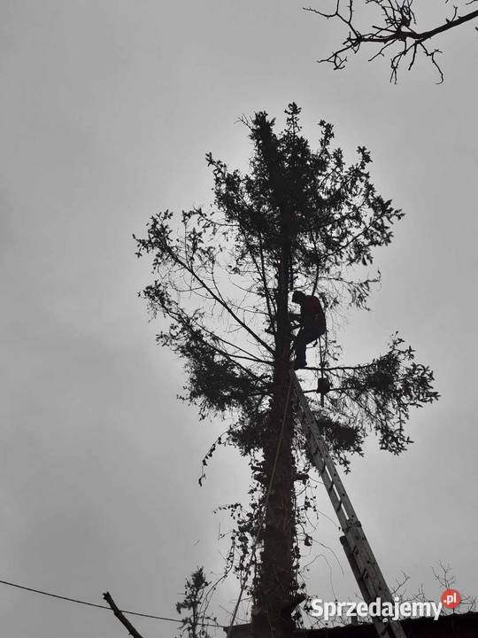 Odśnieżanie Koszenie trawników łódzkie