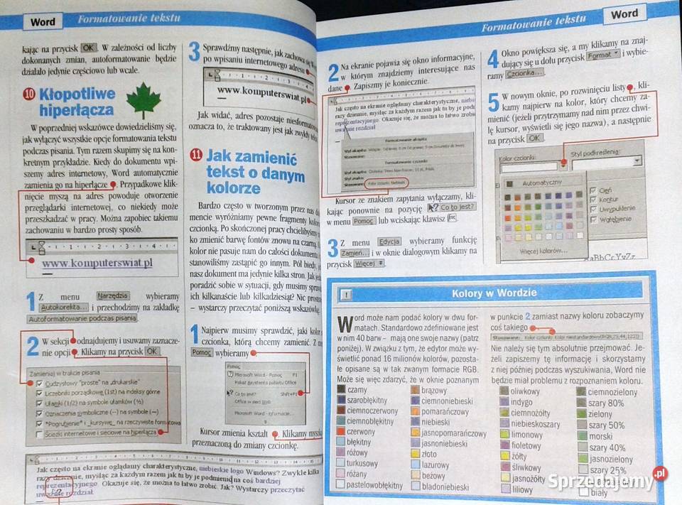Office 2000 Wskazówki każdego Robert Szyszka Chełm