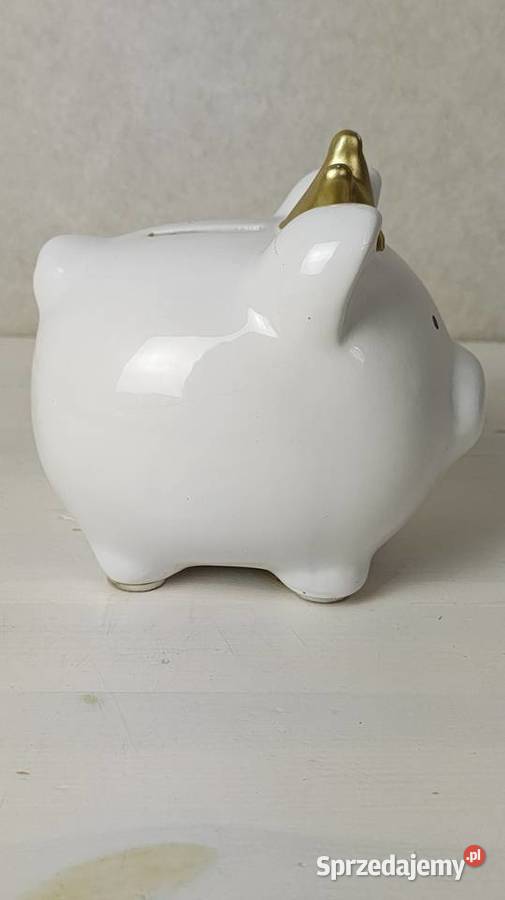 Świnka skarbonka Łódź