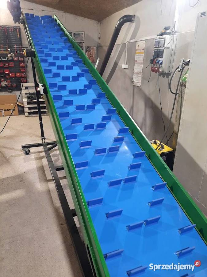 Taśmociąg przenośnik taśmowy do pakowania warzyw Łowicz