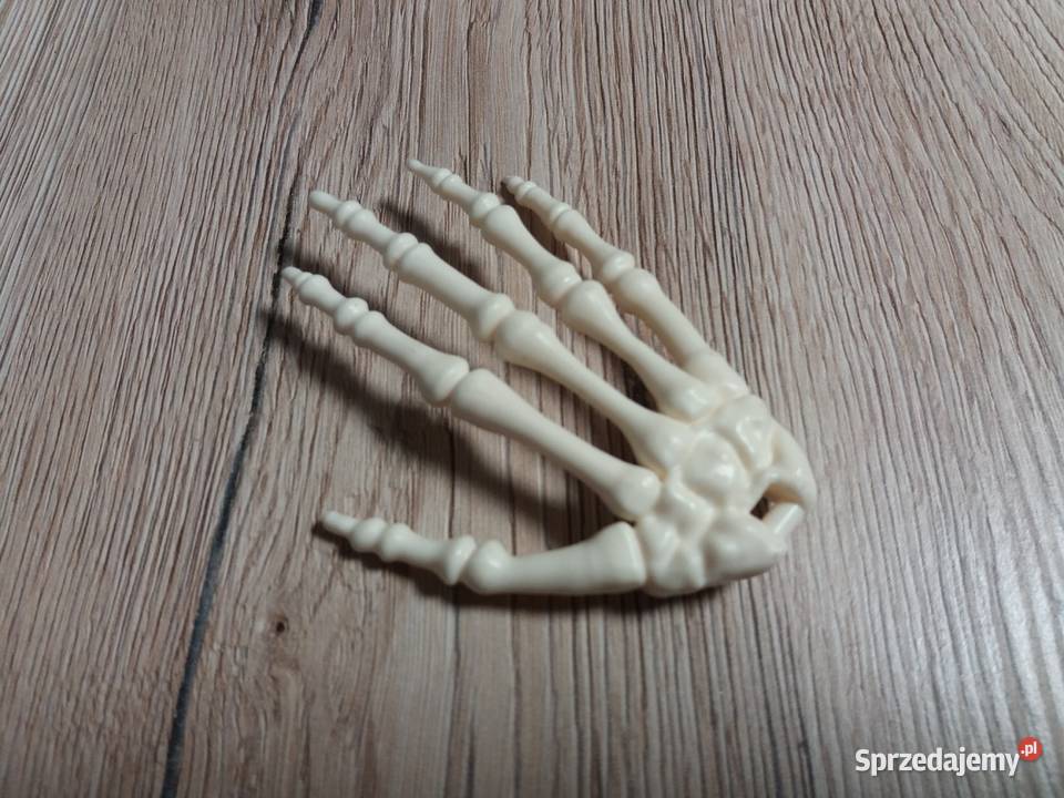 Tajemnice ludzkiego ciała kolekcja DeAgostini Pozostałe Pozostałe Cieszyn sprzedam