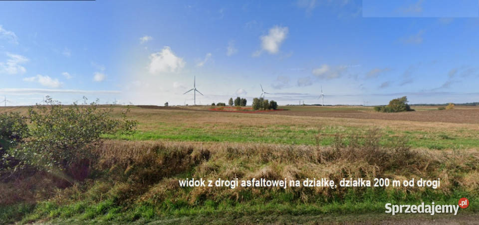 35 ha Dolice Stargard 5zł/m2 zachodniopomorskie
