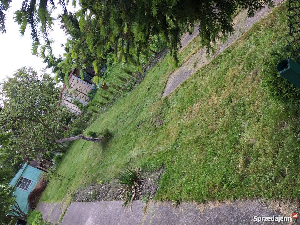 DZIAŁKA ROD TRANSPORTOWIEC JEZIORA RUDNICKIEGO rekreacyjna Grudziądz