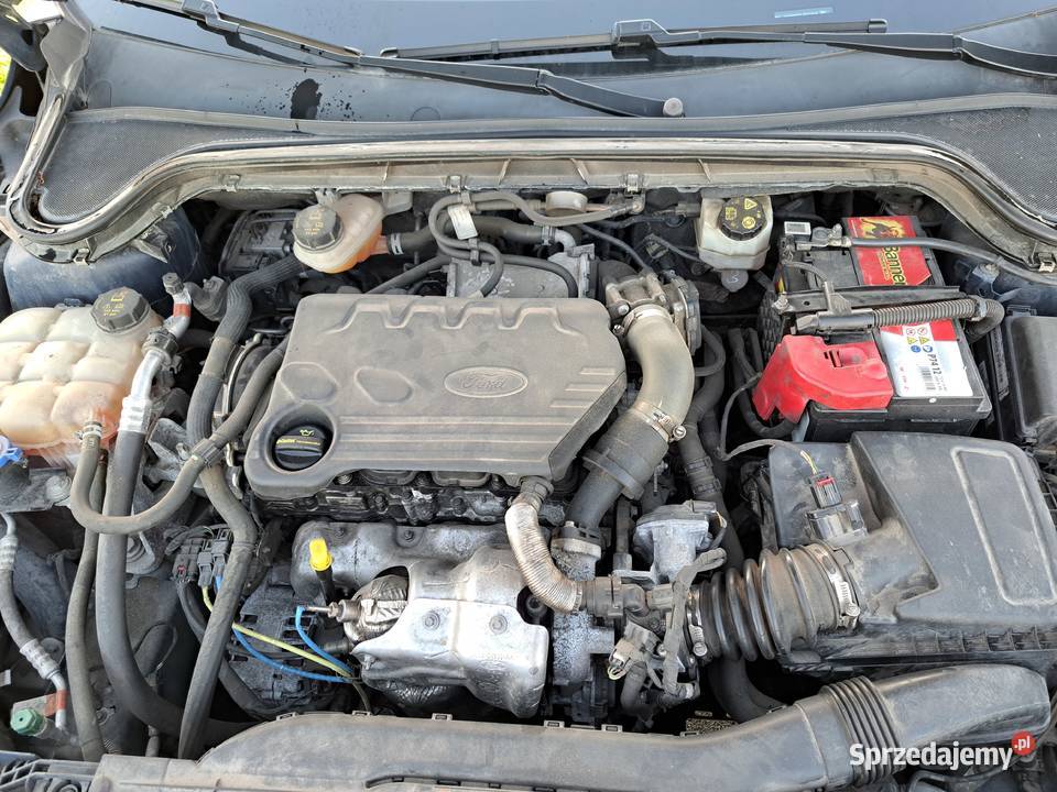 Ford Focus 2019 15 diesel 120 MK4 Serwisowany w