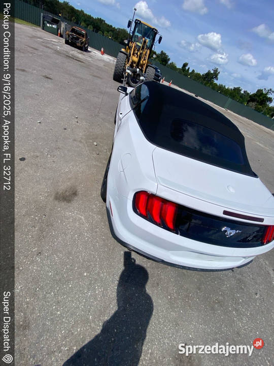 Ford Mustang 23 Ecoboost CABRIO 2020 w drodze do Żórawina sprzedam